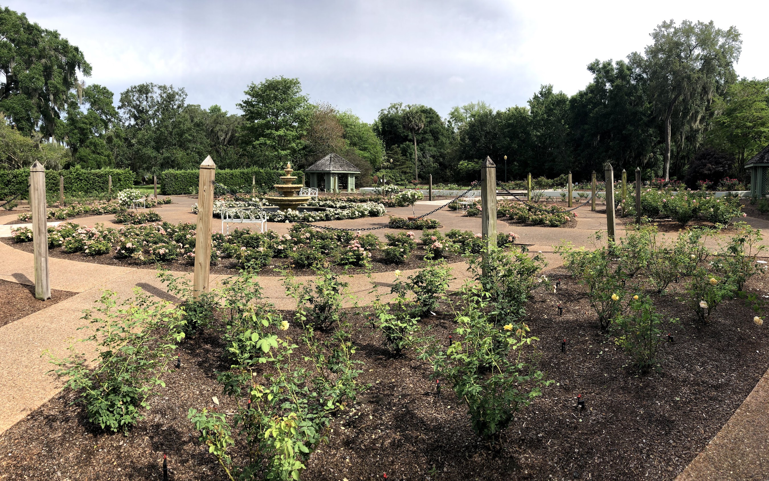 Harry P. Leu Gardens Mother's Day Orlando 2026